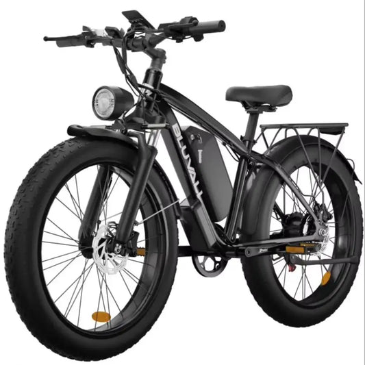 Ebike Dual Motor 2000W 48V Long Range Off Road Bike