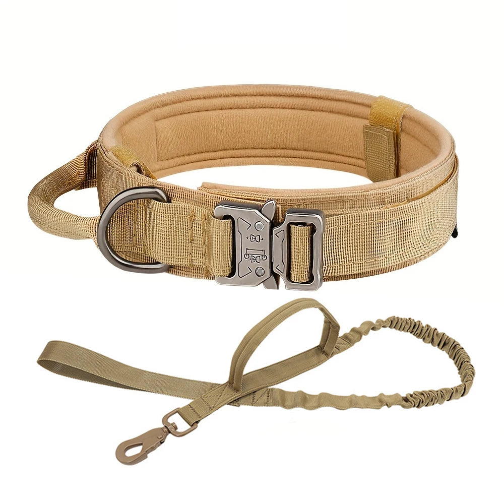 Dog Training Collar Set for Comfortable Pet Control