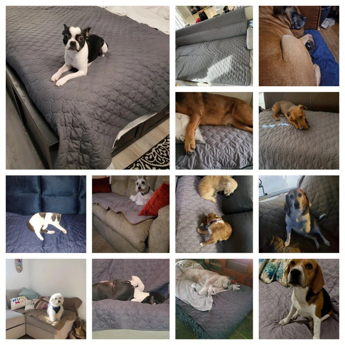 Double Sided Waterproof Dog Bed Cover for Stylish Protection