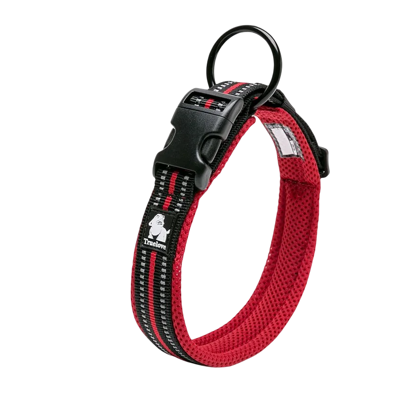 Nylon Padded Dog Walking Collar With Durable Buckle