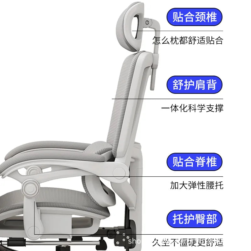 Compy Ergonomic Office Chair with Adjustable Lumbar Support