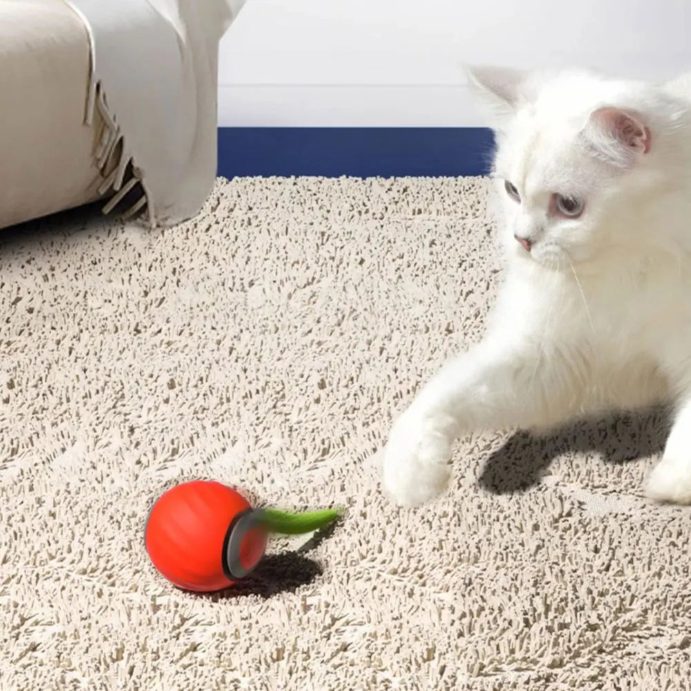 FurryFun Smart Cat Ball for Engaging Interactive Playtime