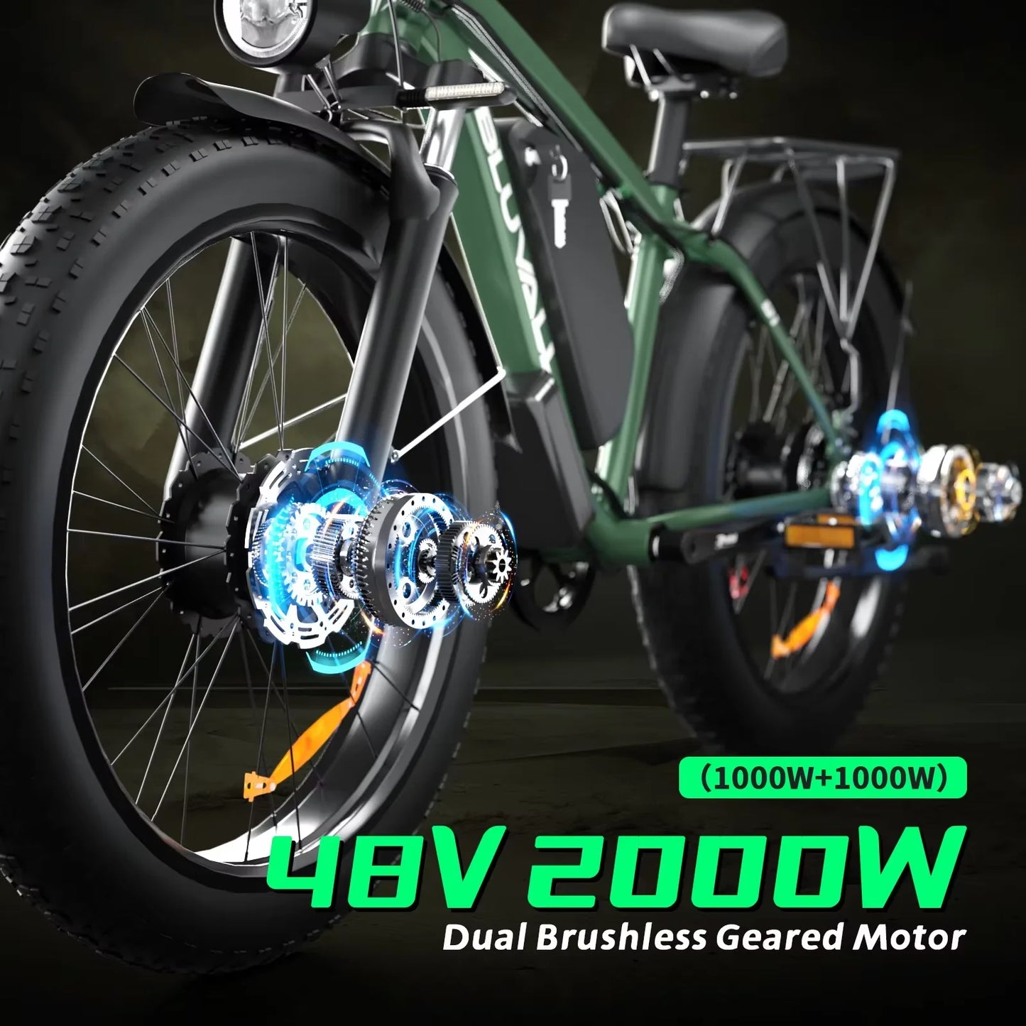 Ebike Dual Motor 2000W 48V Long Range Off Road Bike