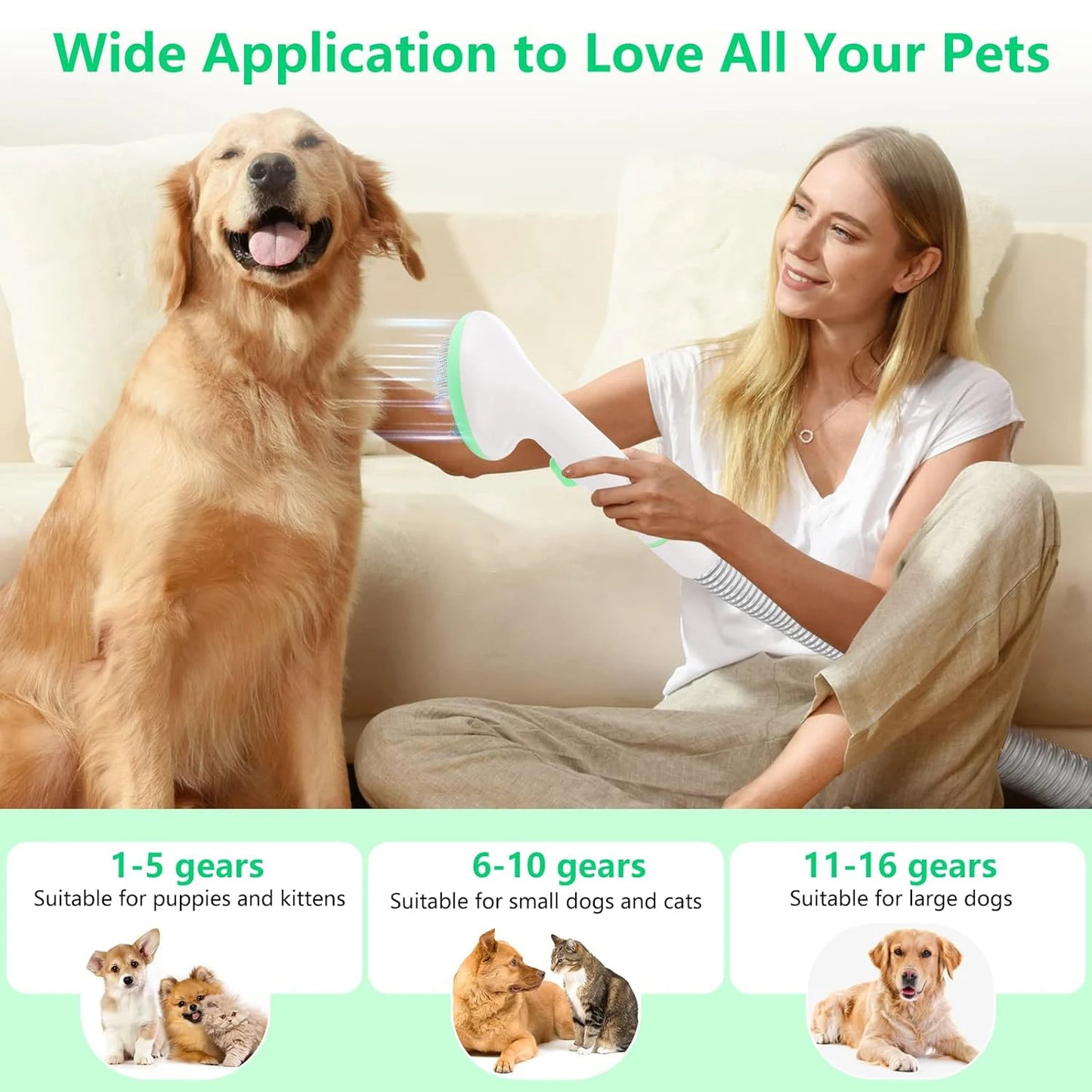 Quiet Pet Grooming Vacuum Kit 2L For Hair Removal Pro