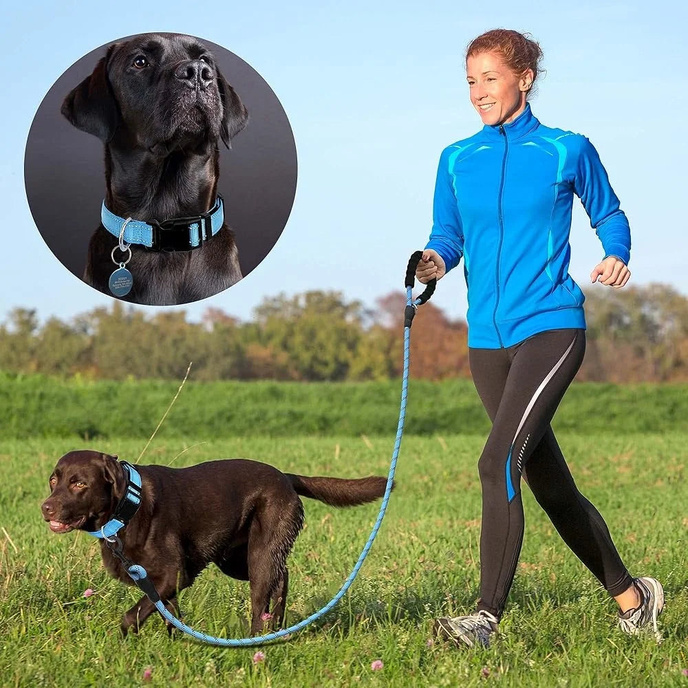 Adjustable Reflective Dog Collar with Bonus Leash for Safety